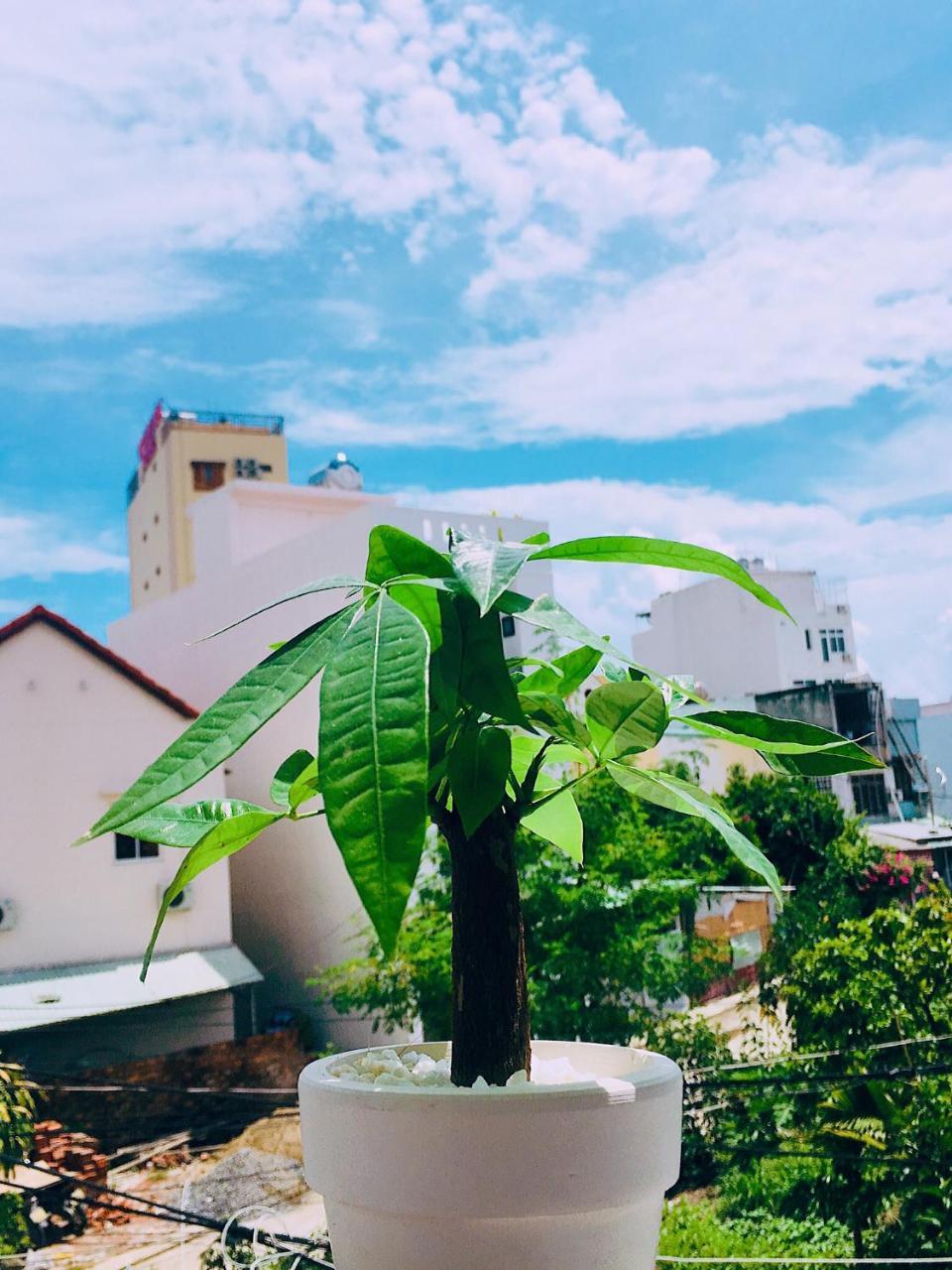 Huha Home - Da Nang Bagian luar foto
